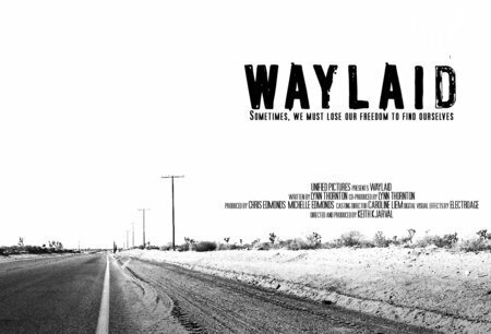 Waylaid (2007)