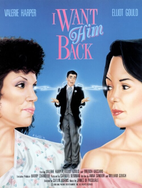 Похищен: Один муж (1990)