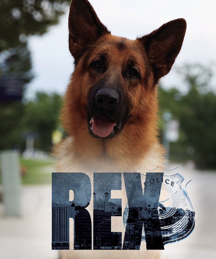 Хадсон и Рекс (2019) постер