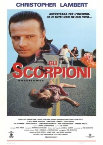 Цветок у дороги (1993)