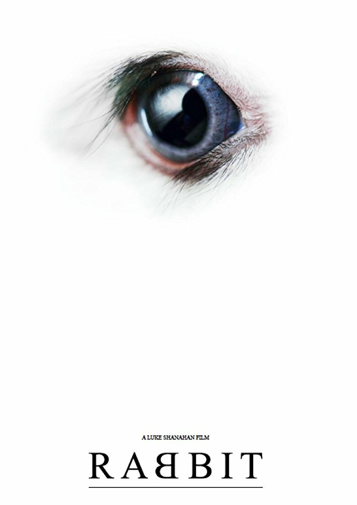 Кролик (2017)