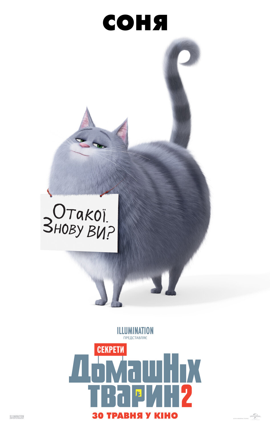 Тайная жизнь домашних животных 2 (2019)