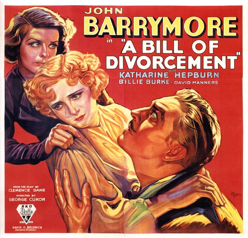 Билль о разводе (1932) постер