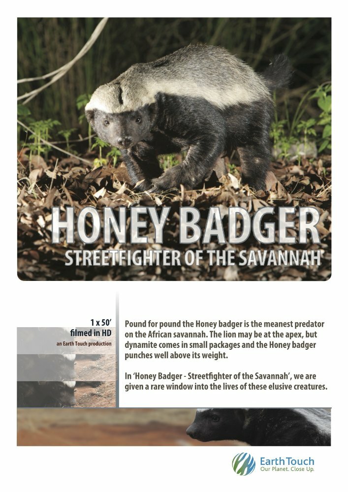 Ultimate Honey Badger (2013)