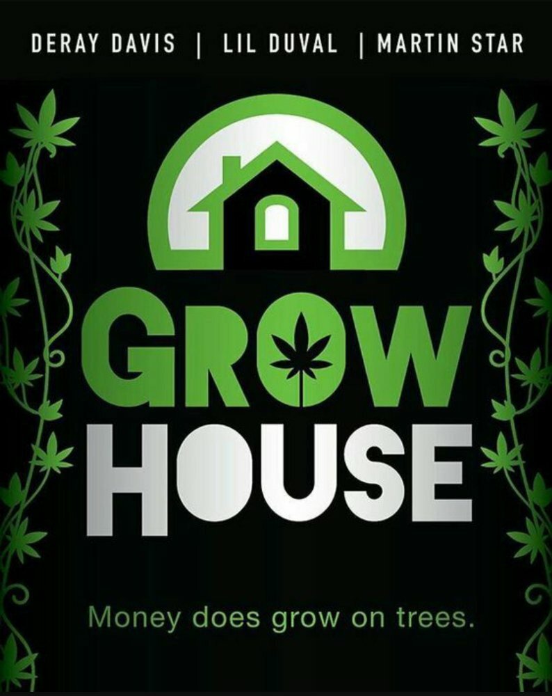 Дом рассады (2017)