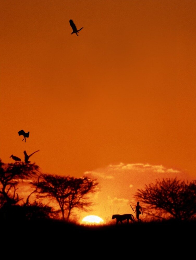 Львенок (1993)