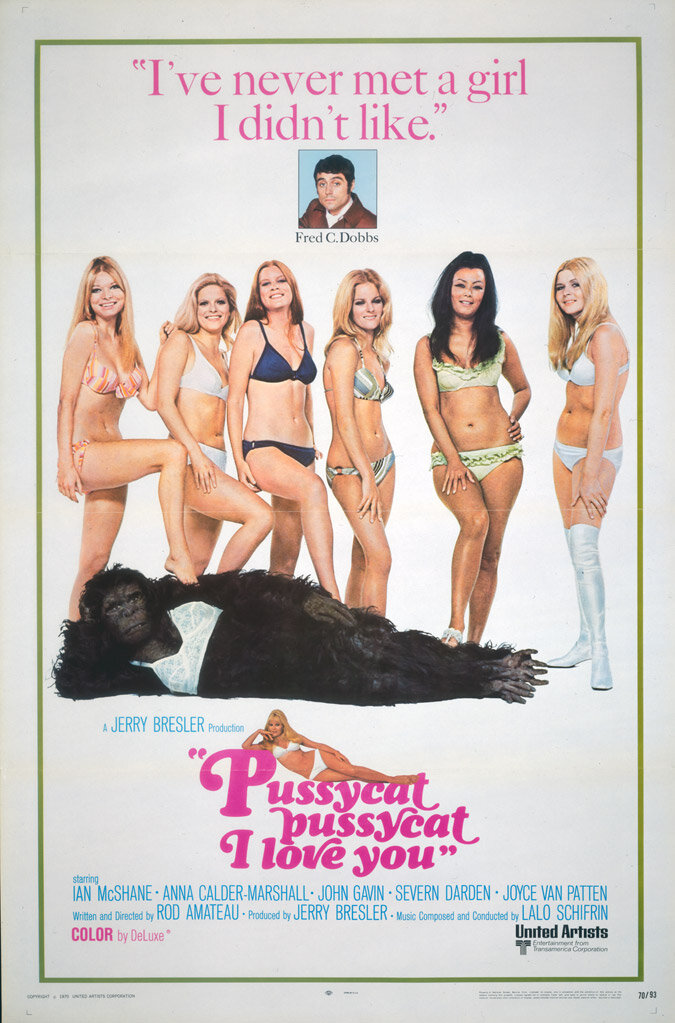 Кошечка, кошечка, я люблю тебя (1970)