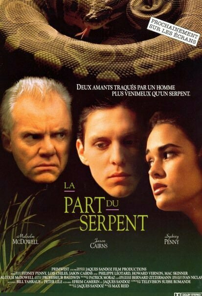 В глазу змеи (1990)