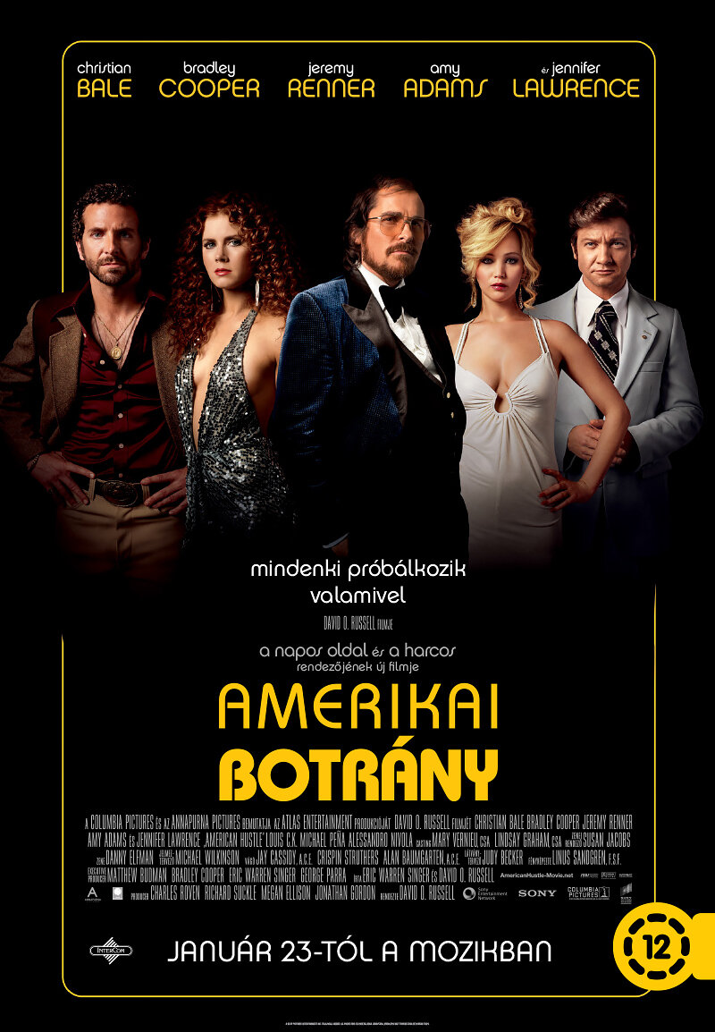 Афера по-американски (2013)