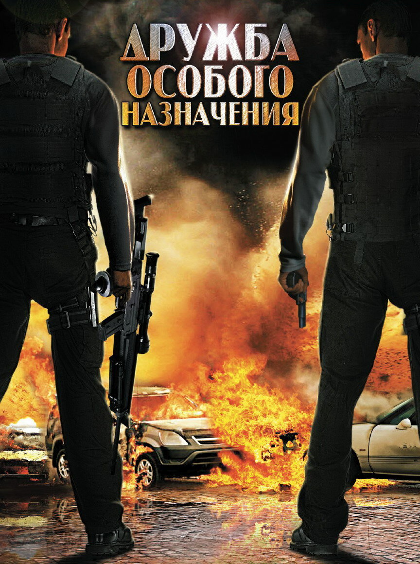 Дружба особого назначения (2012)
