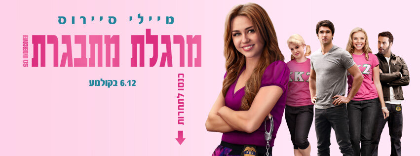 Агент под прикрытием (2012)