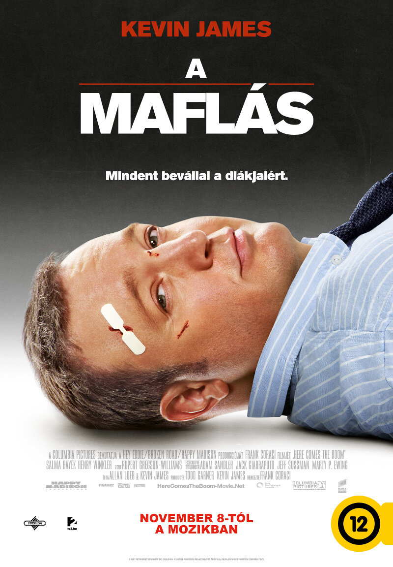 Толстяк на ринге (2012)