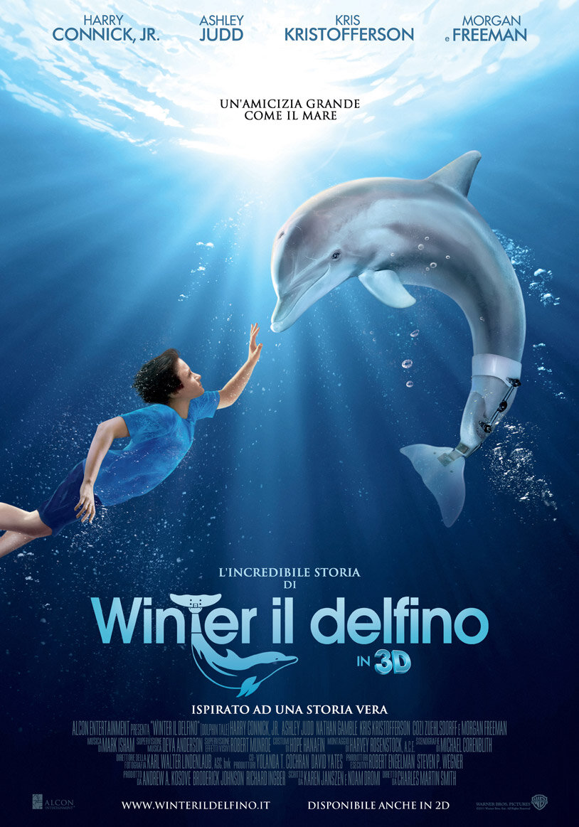 История дельфина (2011)