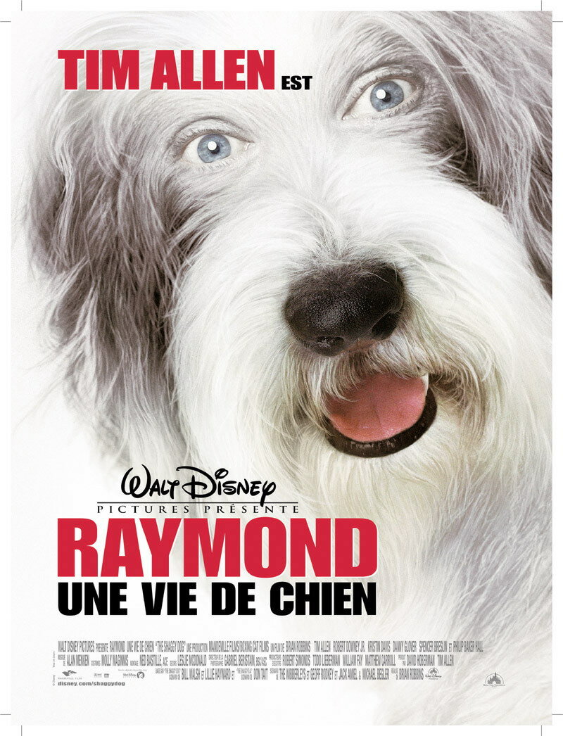 Лохматый папа (2006)