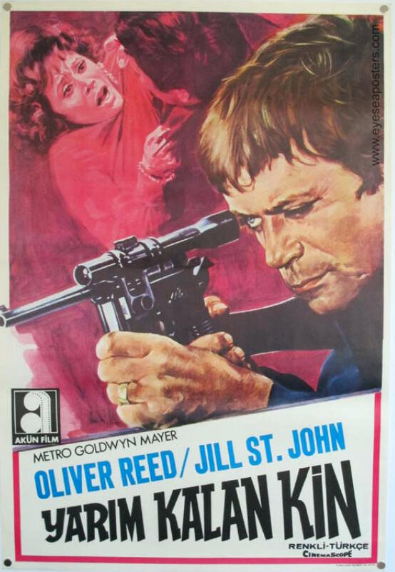 Сидячая цель (1972)