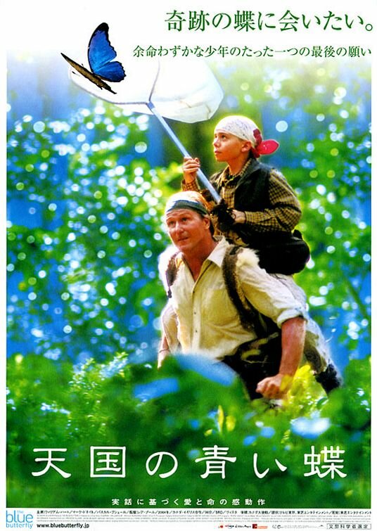 Голубая бабочка (2004)
