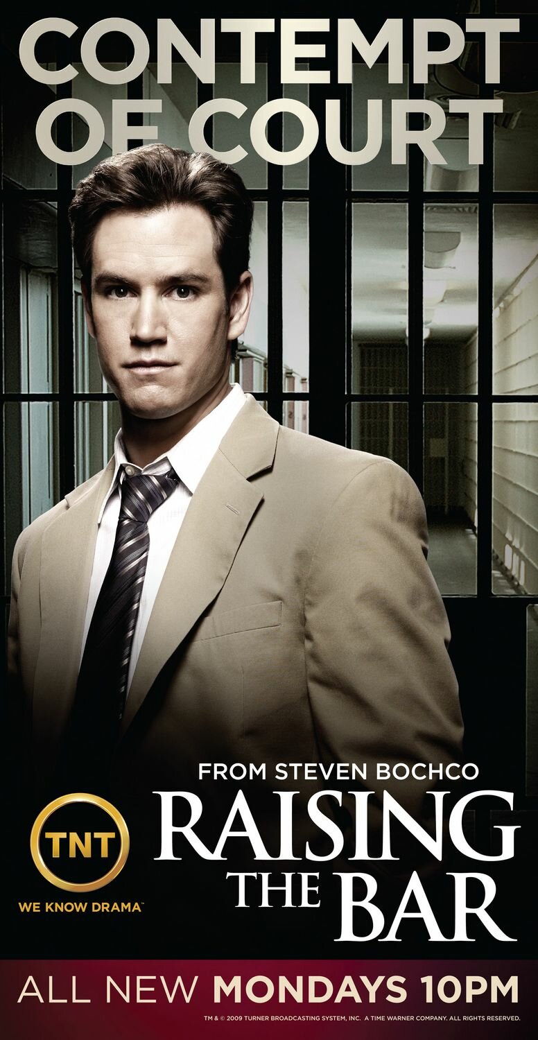 Адвокатская практика (2008)