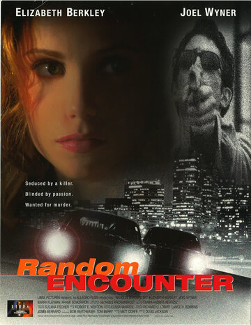 Случайная встреча (1998)