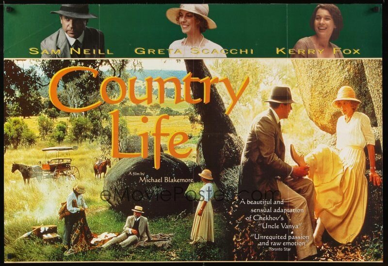 Провинциальный роман (1994)