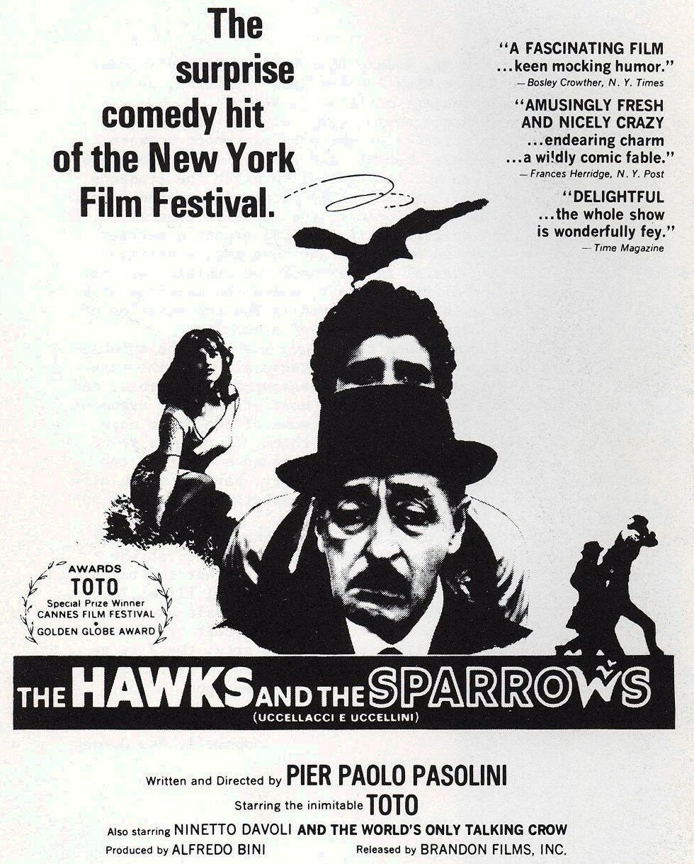 Птицы большие и малые (1966)