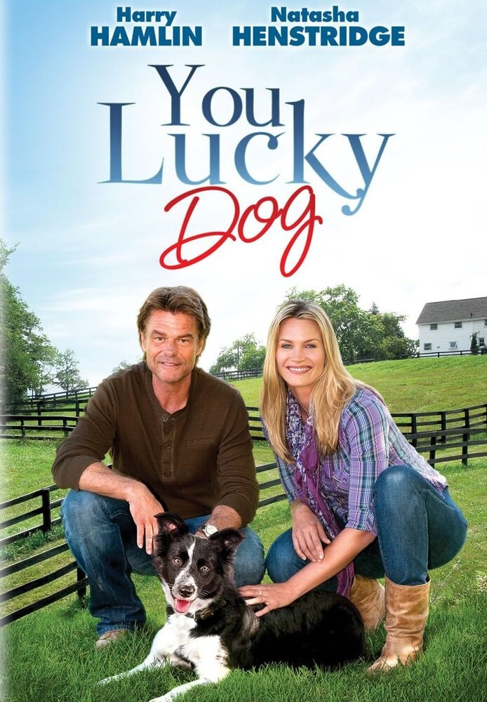 You Lucky Dog (2010) постер