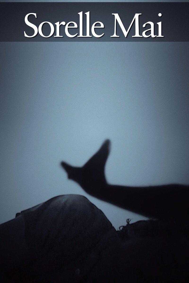 Мои сестры (2010) постер