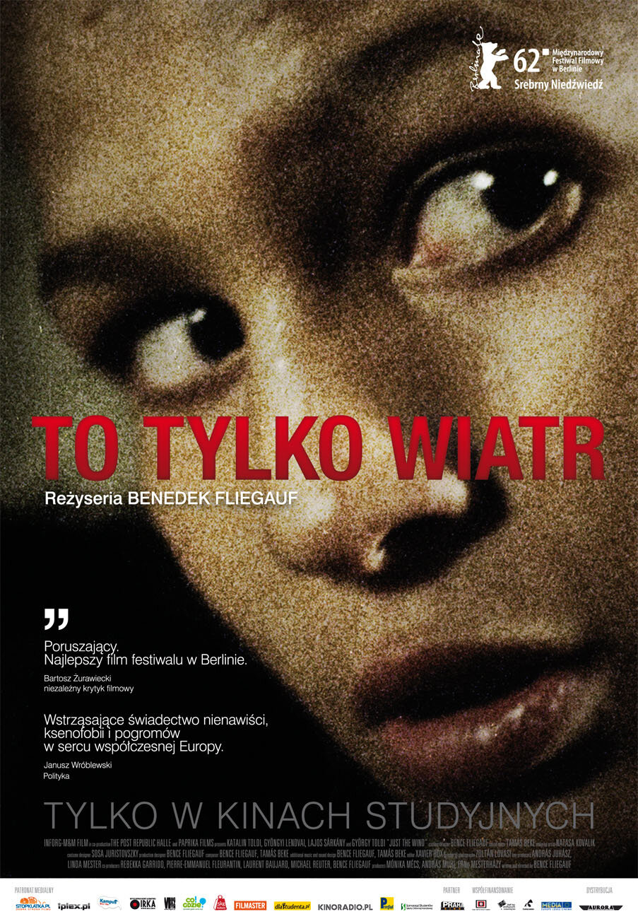 Просто ветер (2012)