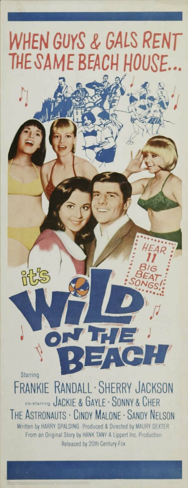 Wild on the Beach (1965)