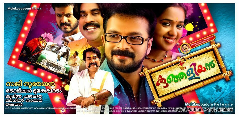 Молодой зять (2012)