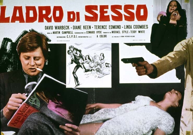 Сексуальный вор (1973)