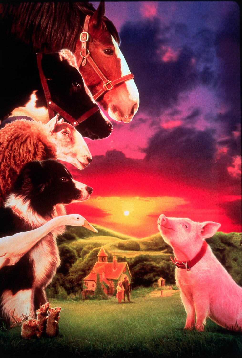 Бэйб: Четвероногий малыш (1995)