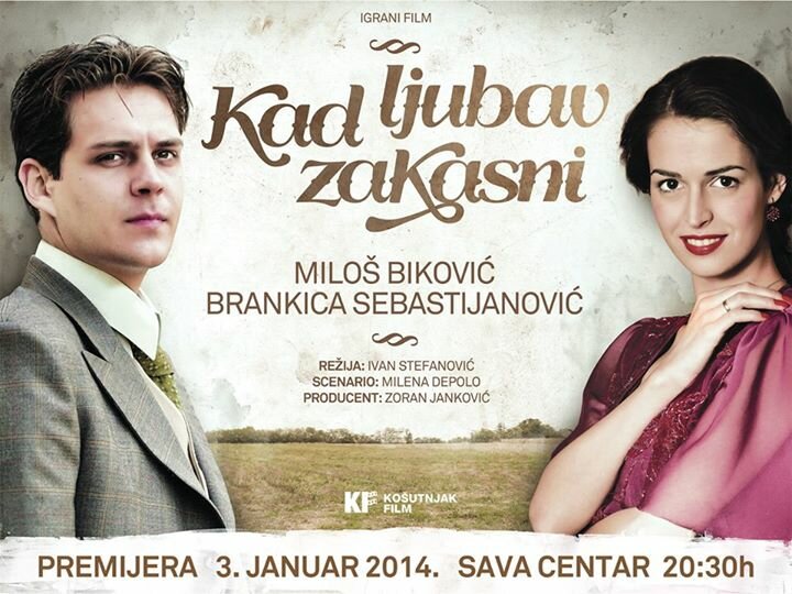 Женатый холостяк (2014)