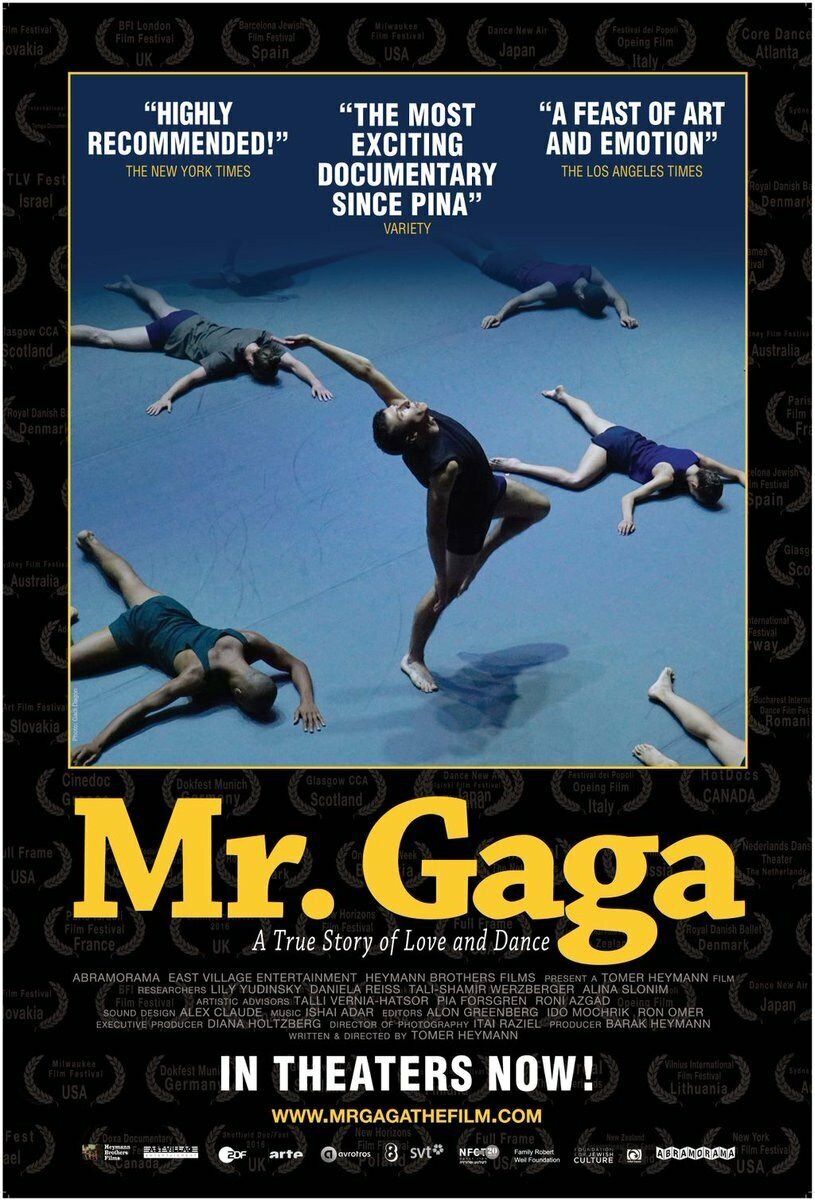 Мистер Гага (2015)
