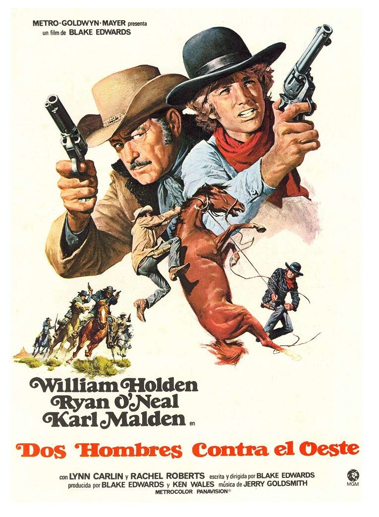 Дикие бродяги (1971)