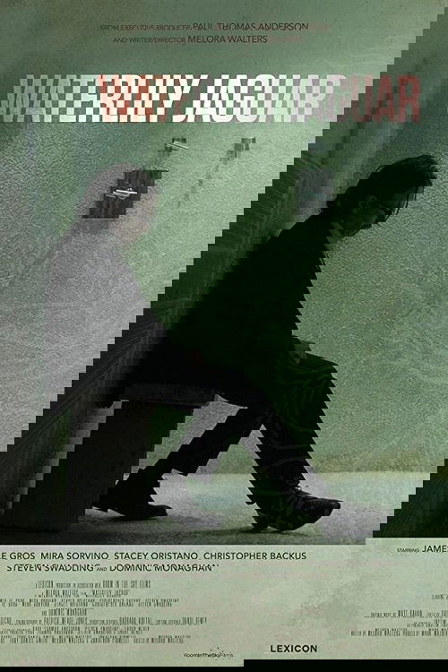 Кувшинковый ягуар (2018)