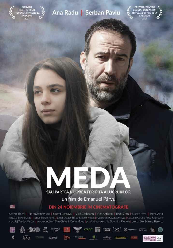 Meda sau Partea nu prea fericita a lucrurilor (2017)