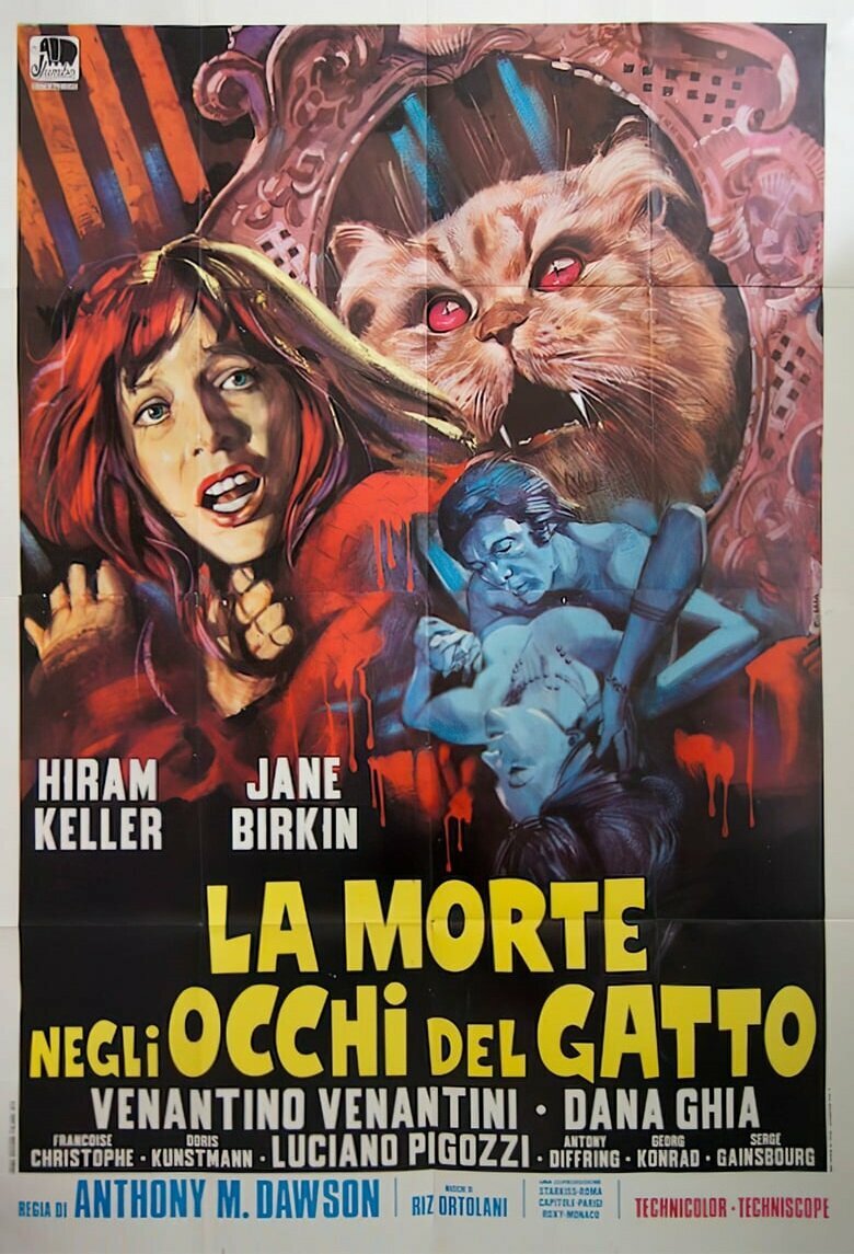 Смерть отображается в кошачьих глазах (1973)