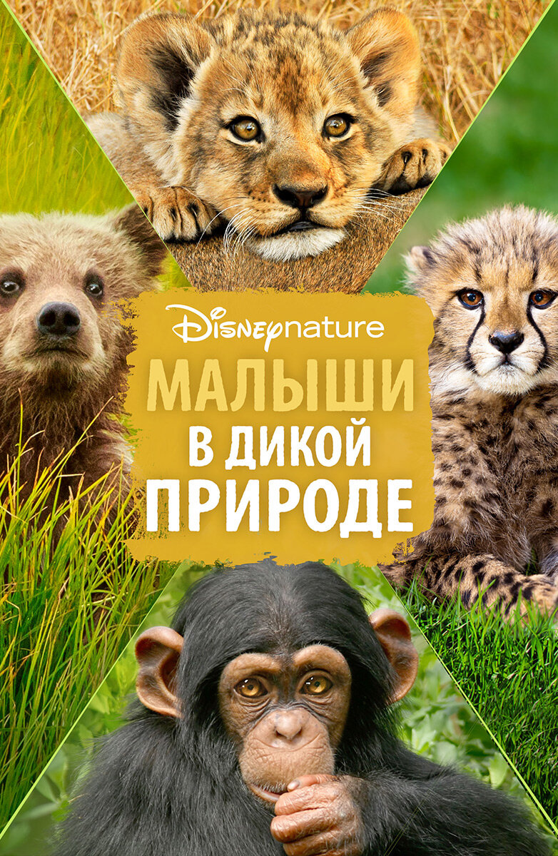 Малыши в дикой природе (2016)