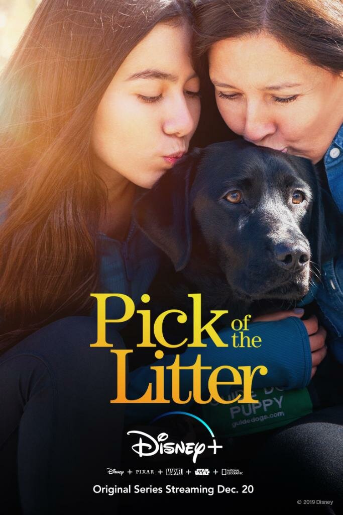 Pick of the Litter (2019) постер