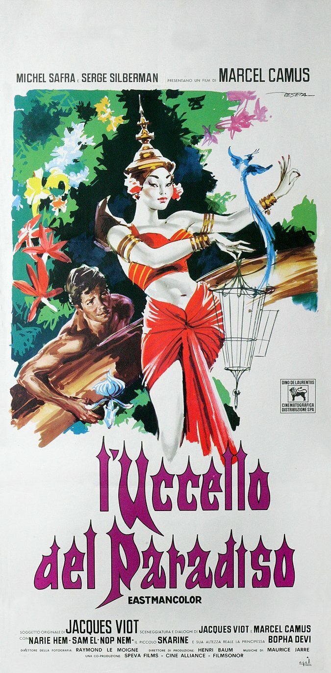 L'oiseau de paradis (1962)