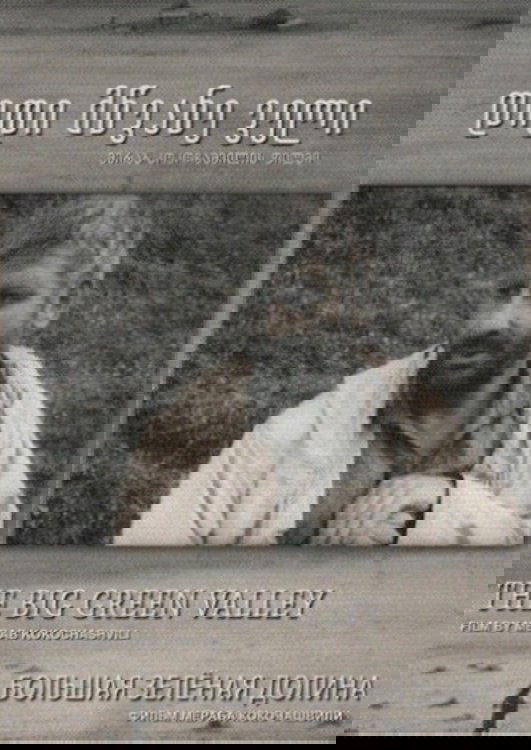 Большая Зелёная долина (1967) постер