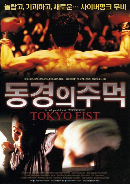 Токийский кулак (1995) постер