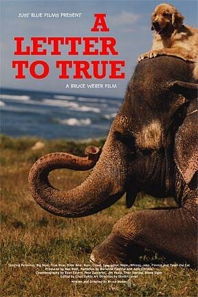 A Letter to True (2004)