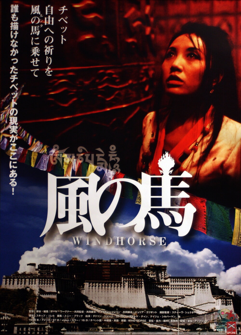 Дикая лошадь (1998)