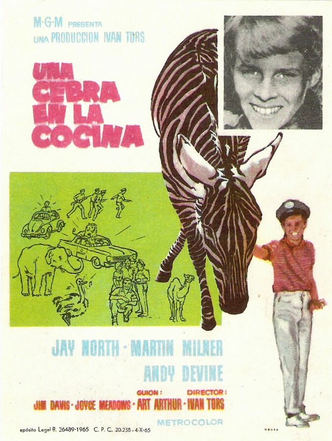 Зебра на кухне (1965)