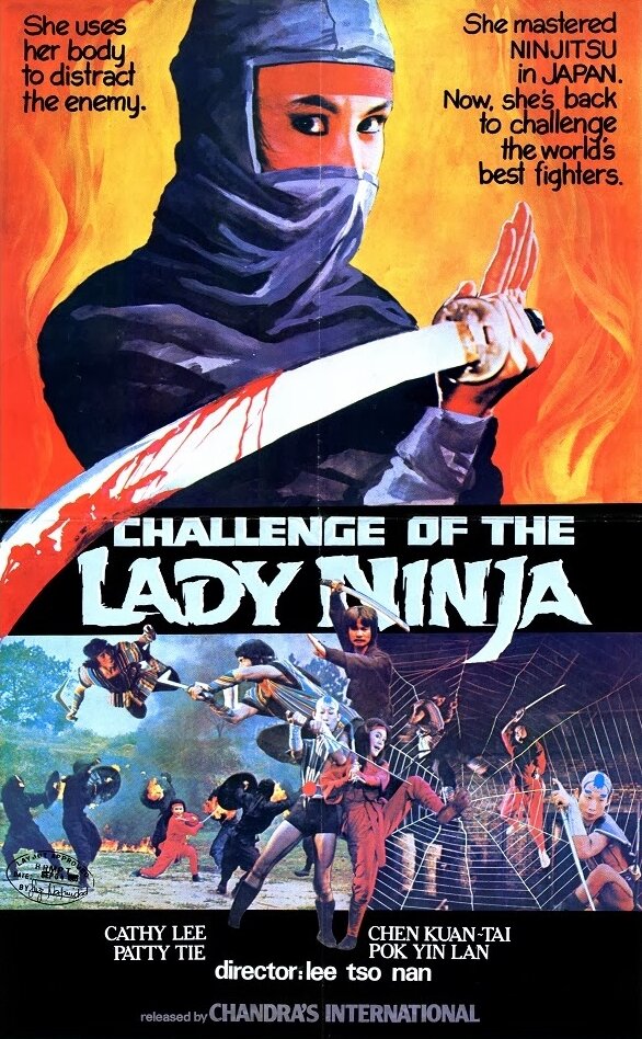Задание леди-ниндзя (1983)