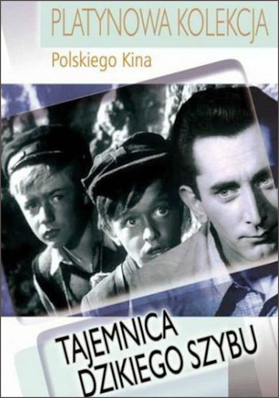 Загадка старой штольни (1956)