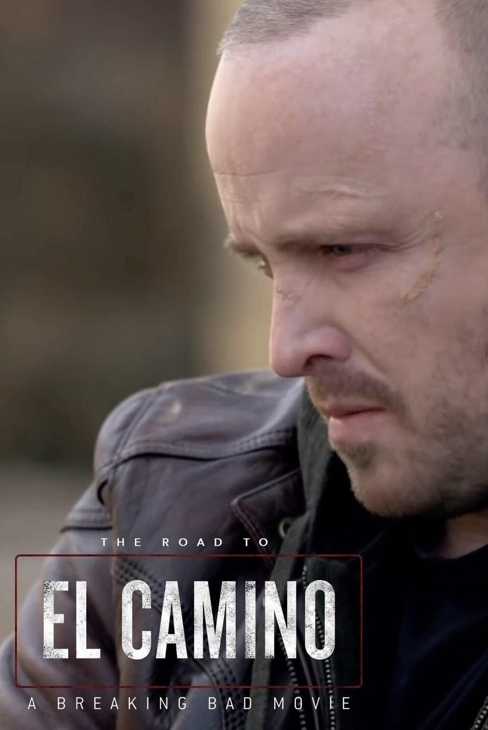 The Road to El Camino: A Breaking Bad Movie (2019)