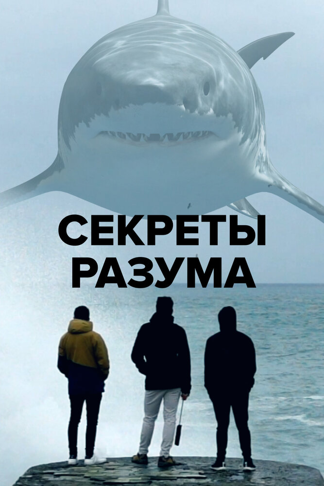Секреты разума (2021)