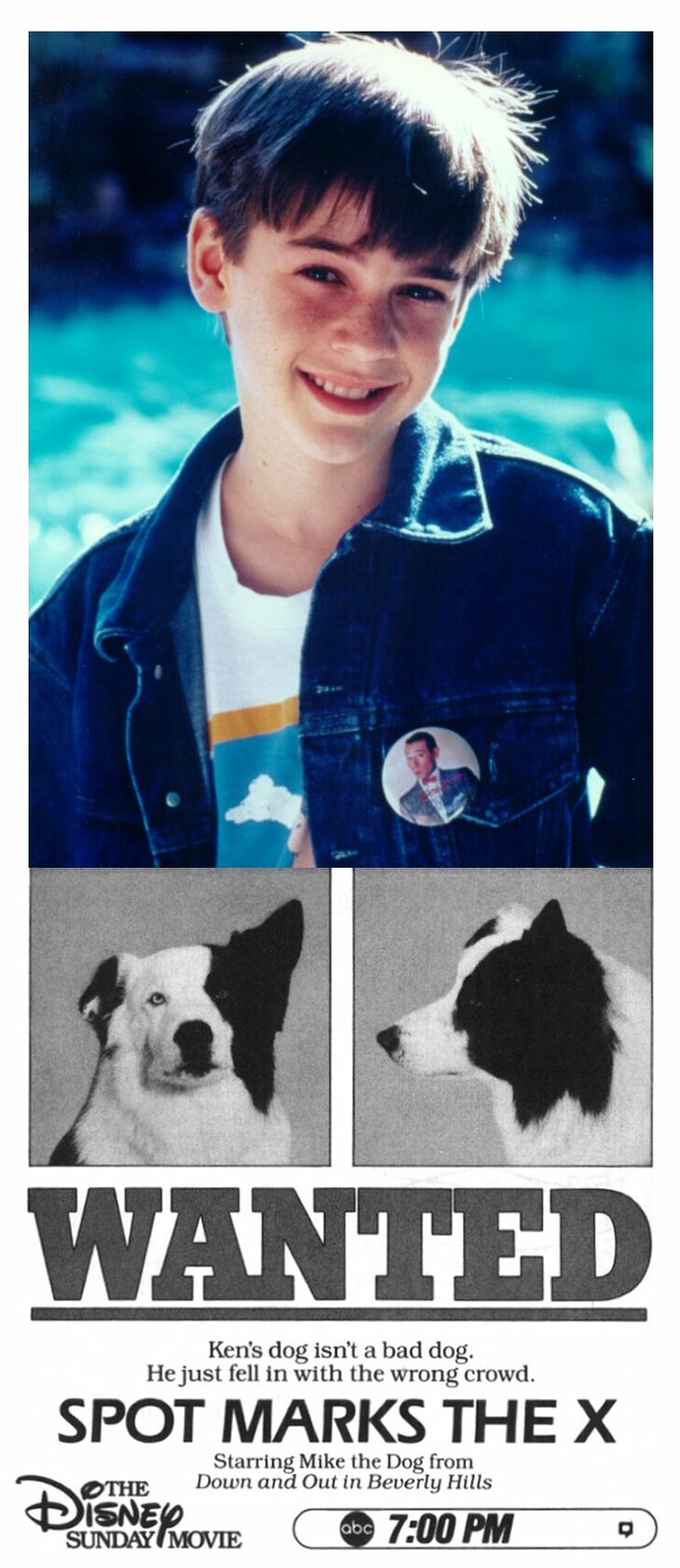 Собачий секрет (1986)